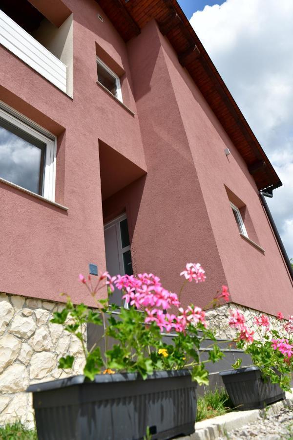 House Bela Vido Hotel Dreznik Grad Exterior photo